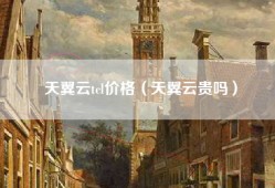 天翼云tcl价格（天翼云贵吗）