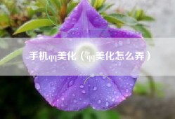 手机qq美化（qq美化怎么弄）