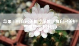 苹果手机自己关机（苹果手机自己关机有电却开不开机）