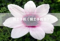 骑士手机（骑士手机卡）