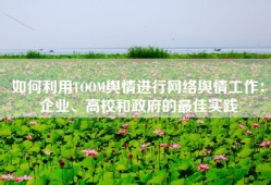 如何利用TOOM舆情进行网络舆情工作：企业、高校和政府的最佳实践