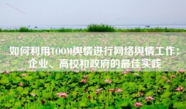 如何利用TOOM舆情进行网络舆情工作：企业、高校和政府的最佳实践