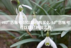 FB广告账号可以自己购买么(fb广告账号可以自己购买么吗)