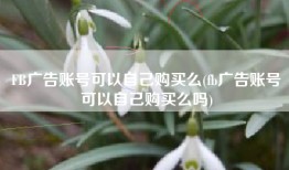 FB广告账号可以自己购买么(fb广告账号可以自己购买么吗)