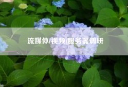 流媒体(视频)服务器调研