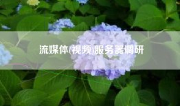 流媒体(视频)服务器调研