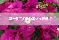 国外天气多普勒雷达发展概况