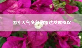 国外天气多普勒雷达发展概况