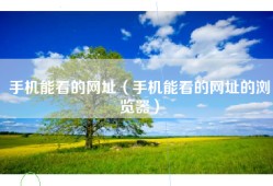 手机能看的网址（手机能看的网址的浏览器）