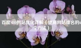 百度SEO网站优化详解（提高网站排名的6个方法）