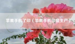 苹果手机了印（苹果手机印度生产）