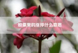 股票里的涨停什么意思
