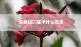股票里的涨停什么意思