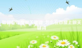 如何在百度做关键词_怎么在百度上做关键词