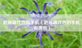 赵丽颖代言的手机（赵丽颖代言的手机有哪些）