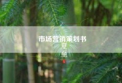 市场营销策划书