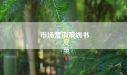 市场营销策划书