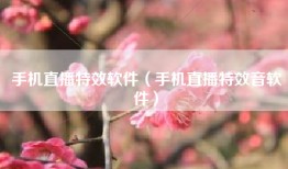 手机直播特效软件（手机直播特效音软件）