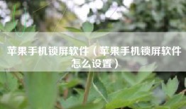 苹果手机锁屏软件（苹果手机锁屏软件怎么设置）