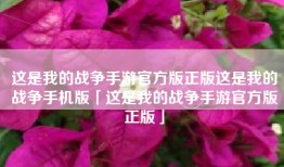 这是我的战争手游官方版正版这是我的战争手机版「这是我的战争手游官方版正版」