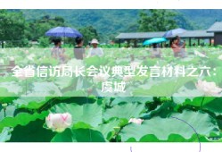 全省信访局长会议典型发言材料之六：虞城
