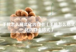 手机怎么格式化内存卡（手机怎么格式化内存卡格式）