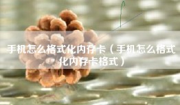 手机怎么格式化内存卡（手机怎么格式化内存卡格式）