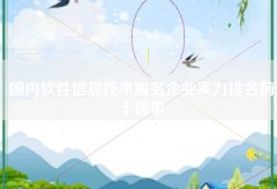 国内软件信息技术服务企业实力排名前十榜单