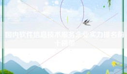 国内软件信息技术服务企业实力排名前十榜单