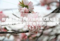 腾领袖【营销手机行业内幕大曝光】手机营销「腾领袖【营销手机行业内幕大曝光】」
