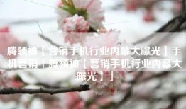 腾领袖【营销手机行业内幕大曝光】手机营销「腾领袖【营销手机行业内幕大曝光】」