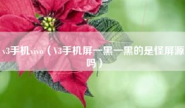 v3手机vivo（V3手机屏一黑一黑的是怪屏源吗）