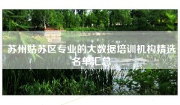 苏州姑苏区专业的大数据培训机构精选名单汇总