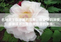 名刘天下在浮躁的世界，在静静的深夜，备课读书也是件很惬意的事情！