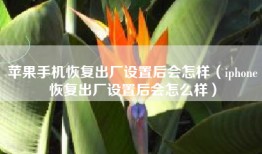 苹果手机恢复出厂设置后会怎样（iphone恢复出厂设置后会怎么样）