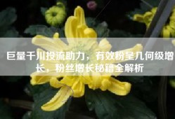 巨量千川投流助力，有效粉呈几何级增长，粉丝增长秘籍全解析