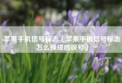 苹果手机信号标志（苹果手机信号标志怎么换成感叹号）