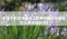 苹果手机信号标志（苹果手机信号标志怎么换成感叹号）