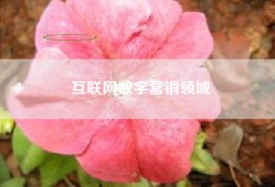 互联网数字营销领域