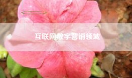 互联网数字营销领域