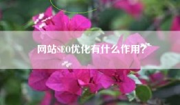 网站SEO优化有什么作用？