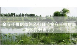 金立手机后盖怎么打开（金立手机后盖怎么打开盖子）