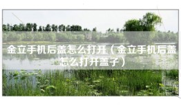金立手机后盖怎么打开（金立手机后盖怎么打开盖子）