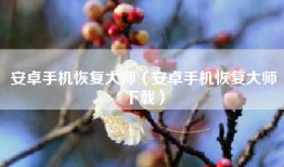 安卓手机恢复大师（安卓手机恢复大师下载）