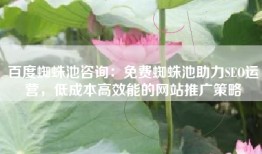 百度蜘蛛池咨询：免费蜘蛛池助力SEO运营，低成本高效能的网站推广策略