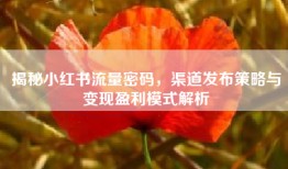 揭秘小红书流量密码，渠道发布策略与变现盈利模式解析