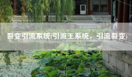 裂变引流系统(引流王系统，引流裂变)