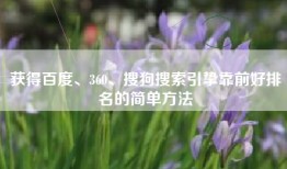 获得百度、360、搜狗搜索引挚靠前好排名的简单方法