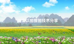 淘宝以图搜图技术分享