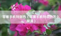 苹果手机特别热（苹果手机特别热怎么降温）
